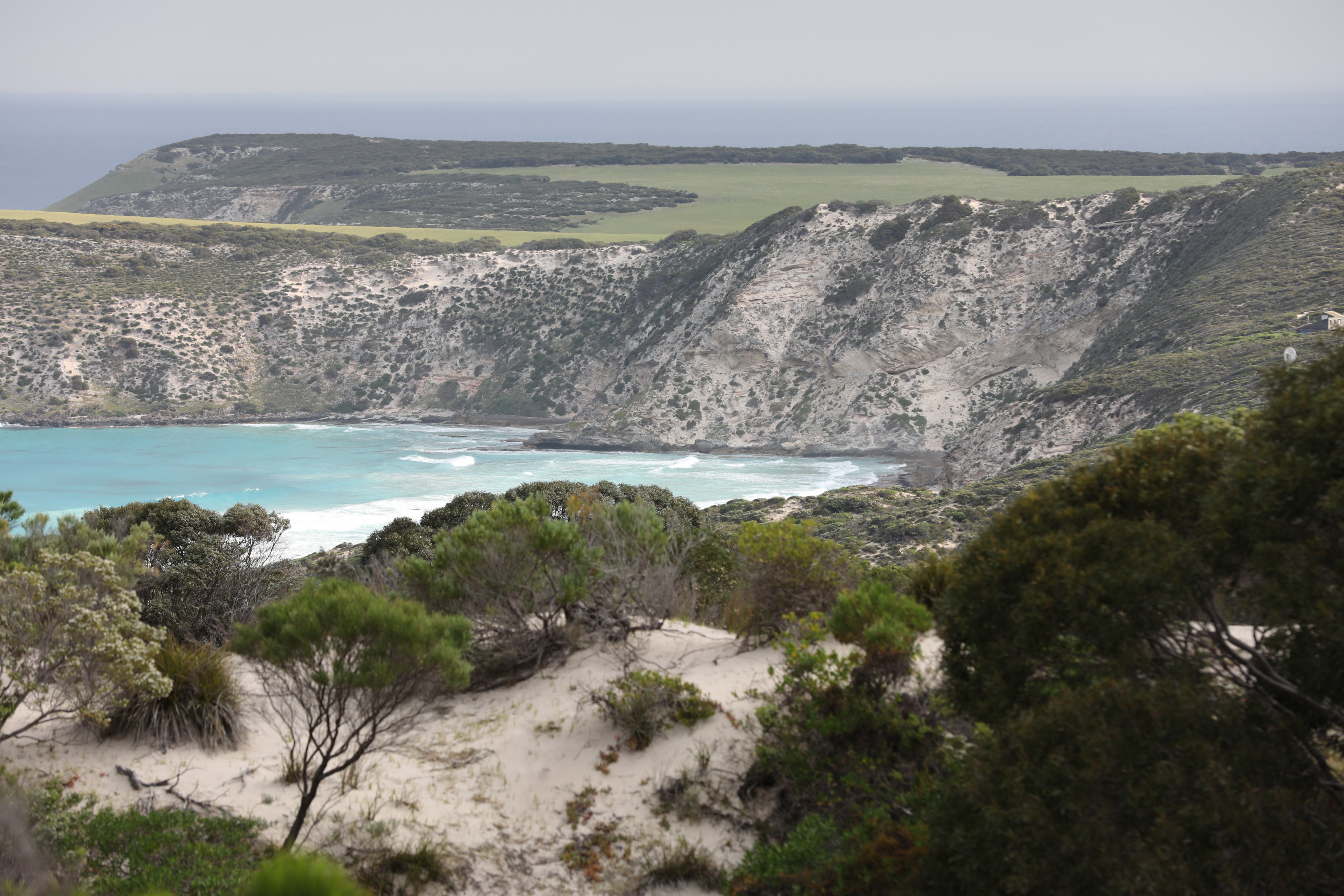 2019 10 05 16 09 19 Canon EOS 5D Mark IV 0018